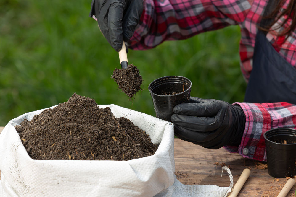 Why Soil Testing is Essential for Every Farmer