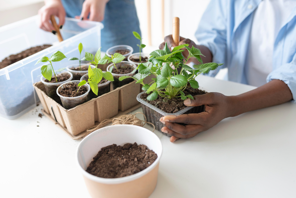 Sustainable Farming Techniques: Building a Resilient and Profitable Future for Agriculture